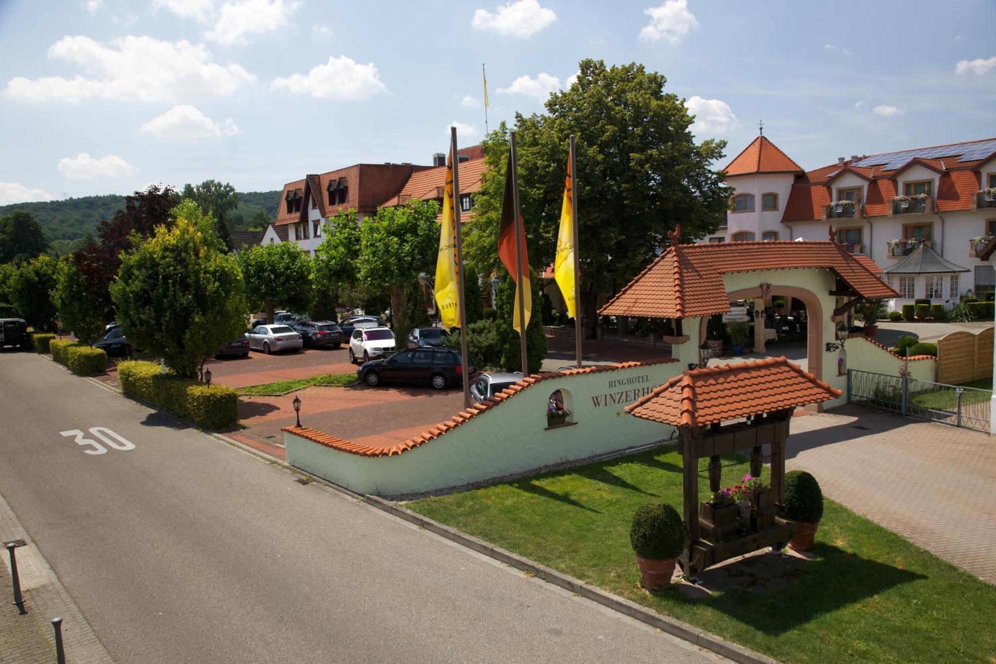 Ringhotel Winzerhof Rauenberg  Экстерьер фото